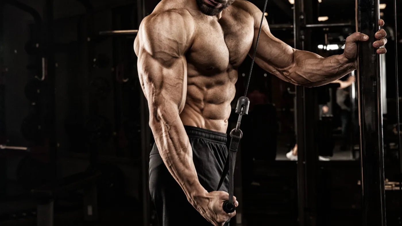What Tricep Exercises Work Each Head for Maximum Gains
