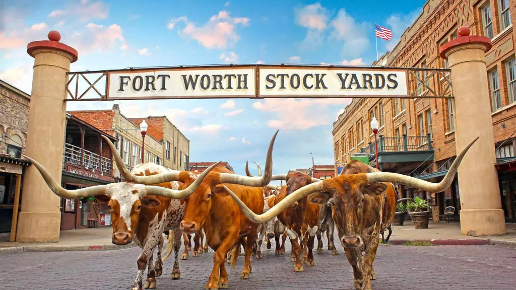 CrossFit HQ Announces Fort Worth, Texas as the Host City for the 2024 Games