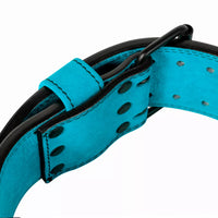#color_olympic-blue