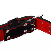 Ceinture de Levage Rembourrée de 6''