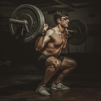 Full Body Squat Workouts: Are Squats a Full-Body Exercise?