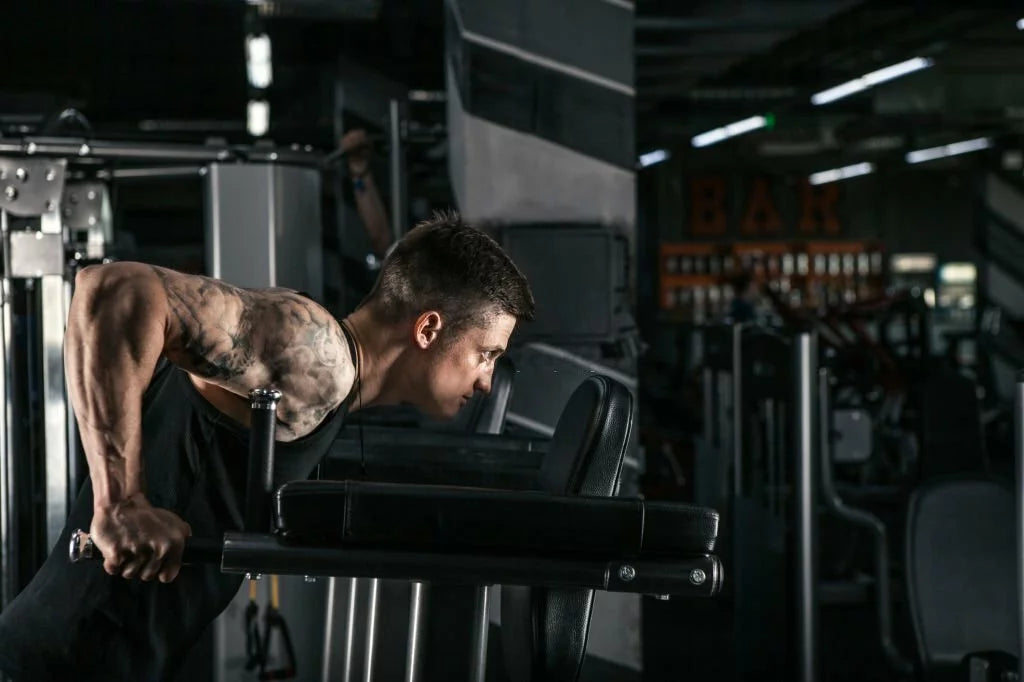 Chest Dips