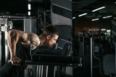 Chest Dips: Proper Form, Technique & Benefits