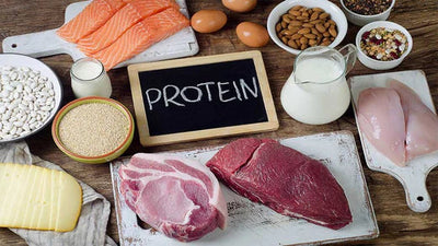 Muscle, Recovery, And Results: The Role Of Protein In Bodybuilding