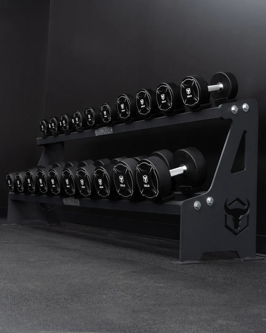 Iron Bull Rack 2-Tier Dumbbell Racks | Iron Bull Strength Canada