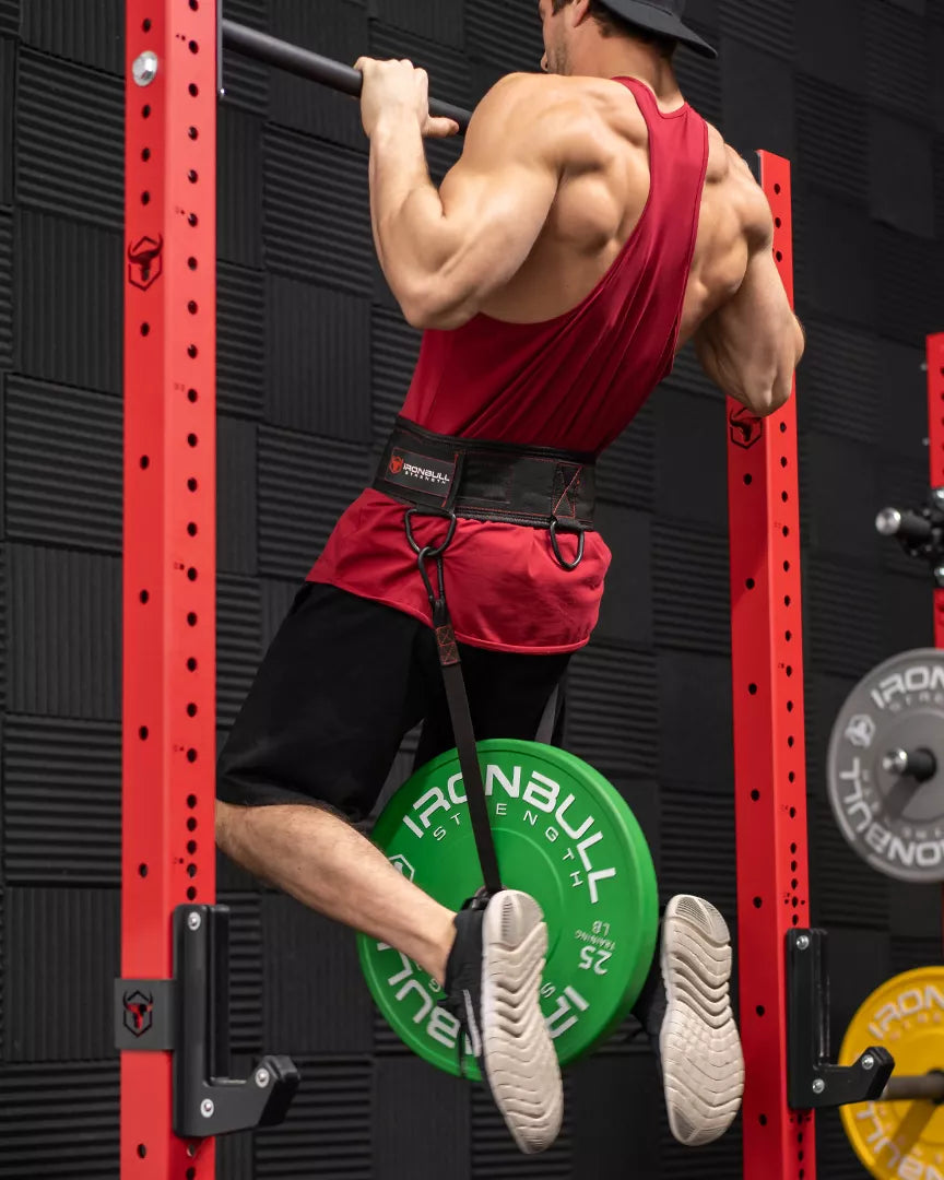Advanced Dip Belt Iron Bull Strength Canada