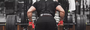 Fitness & Exercise Equipment for the Gym | Iron Bull Strength Canada